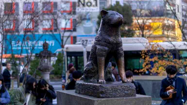 Hachikō, the loyal dog who waited for his owner everyday for 10 years, turns 100
