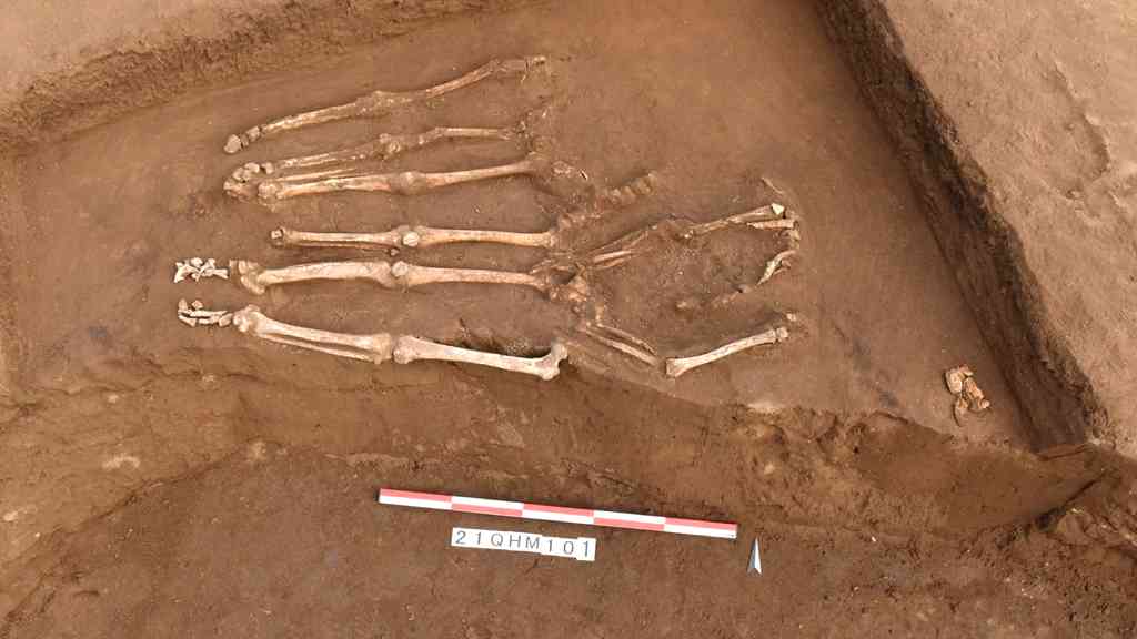 Mass grave of headless skeletons in China linked to largest headhunting massacre in Neolithic Asia