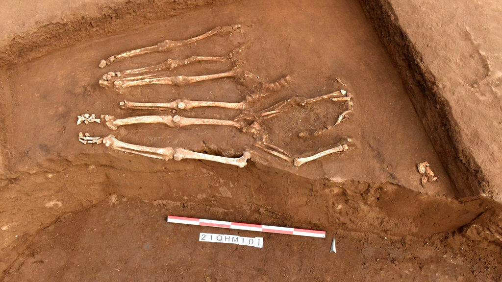 Mass grave of headless skeletons in China linked to largest headhunting massacre in Neolithic Asia