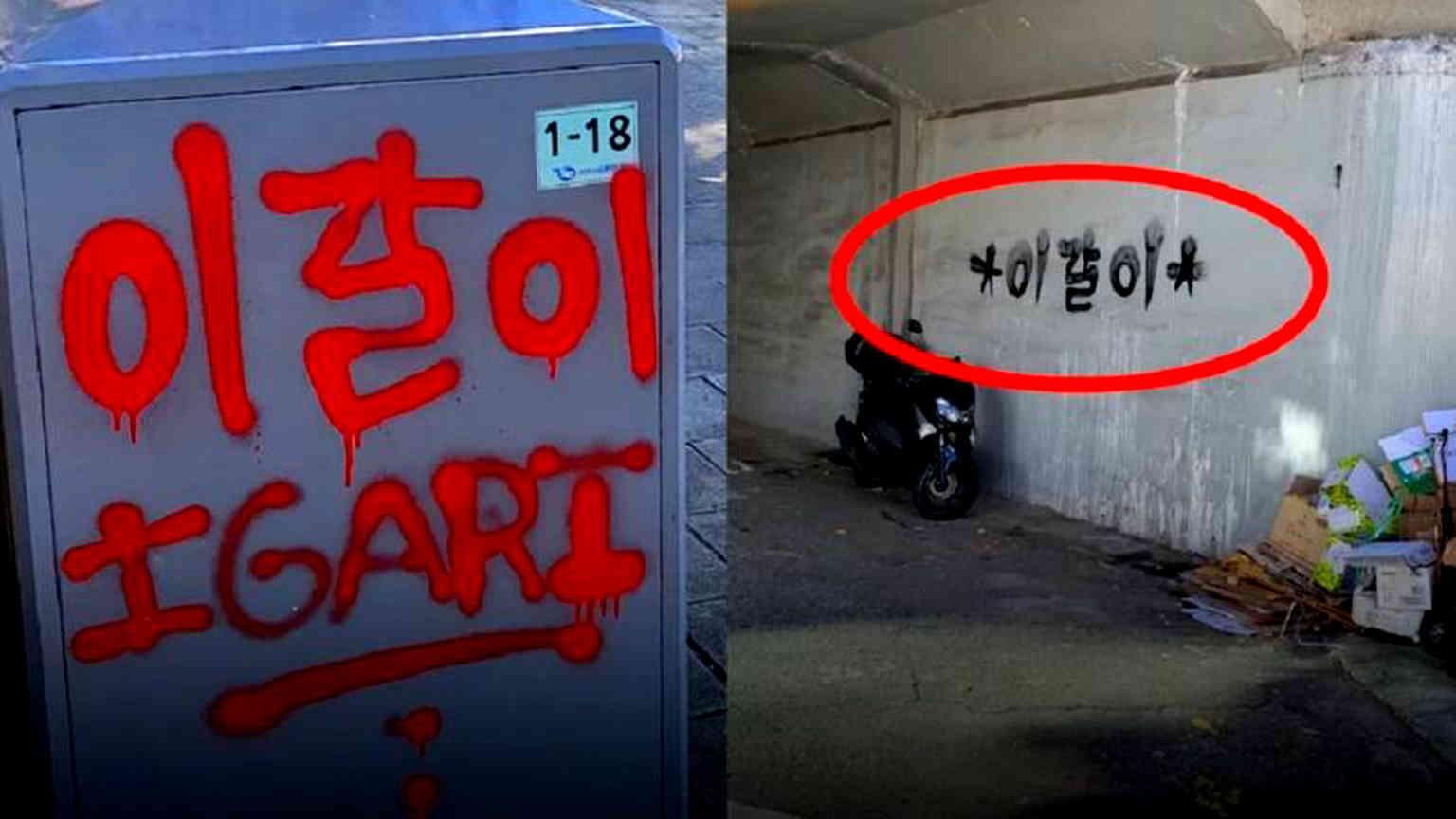 American tourist faces investigation for graffiti spree on over 155 locations in Seoul