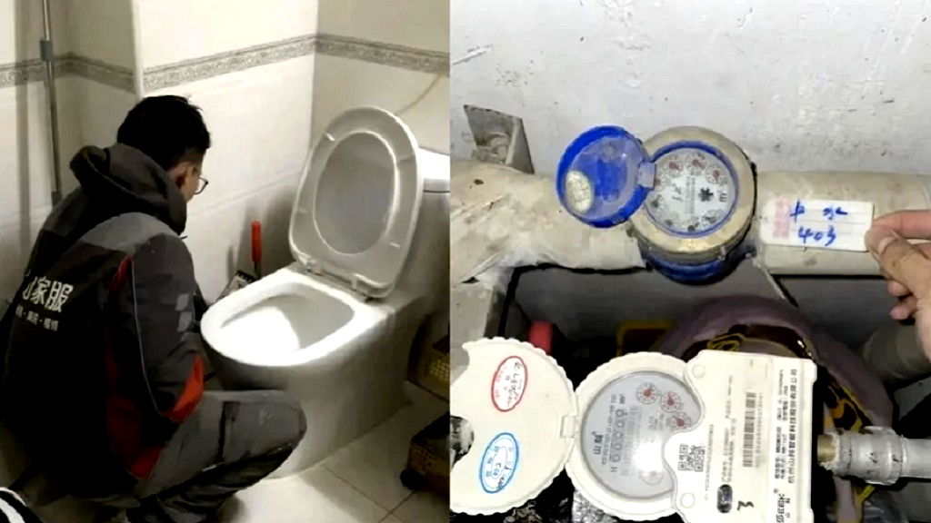 Couple comes face-to-face with snake in toilet