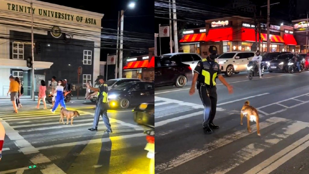 Filipino traffic enforcer stops cars to help stray dog cross busy street