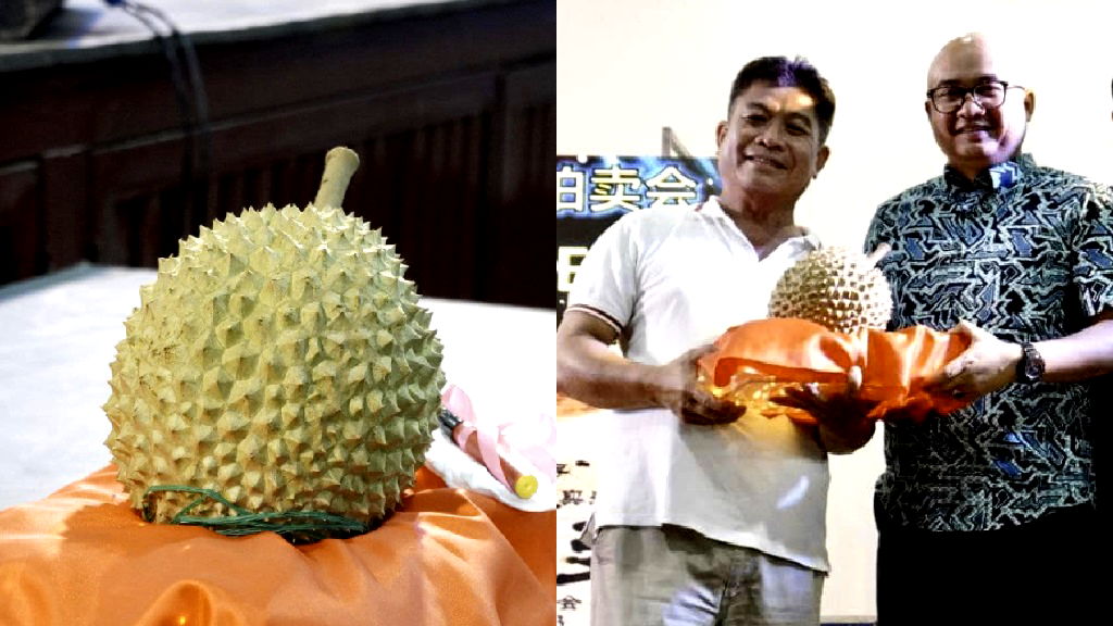 Durian sells for over $39,000 at auction in Malaysia