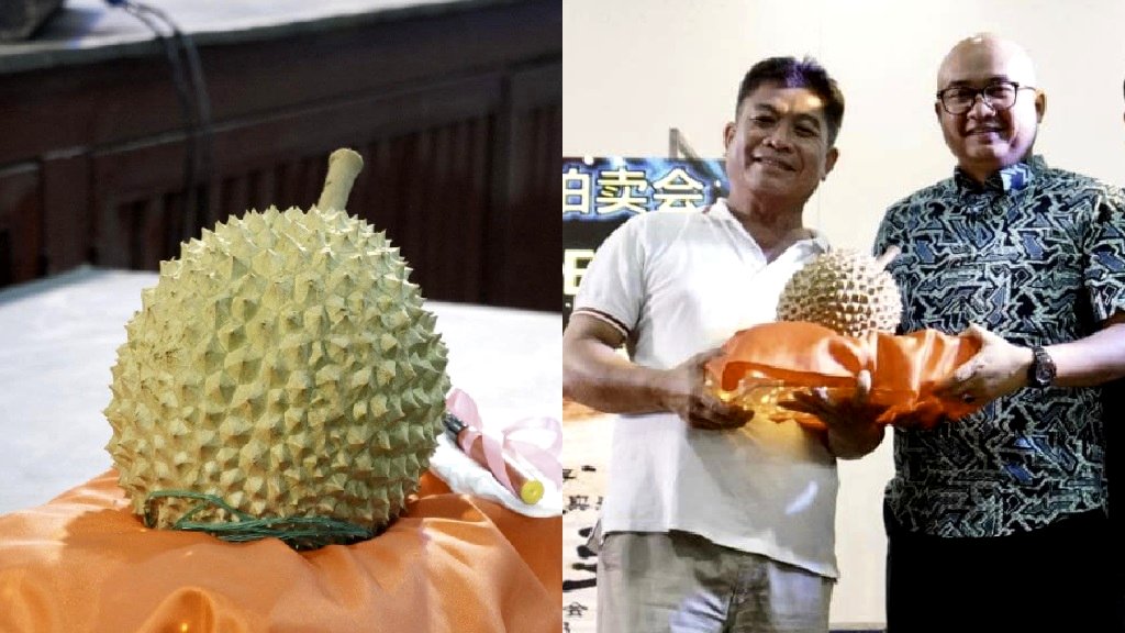 Durian sells for over $39,000 at auction in Malaysia