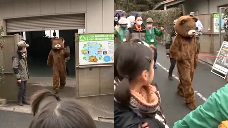 Watch: Man plays escaped ‘bear’ in educational drill at Hiroshima zoo