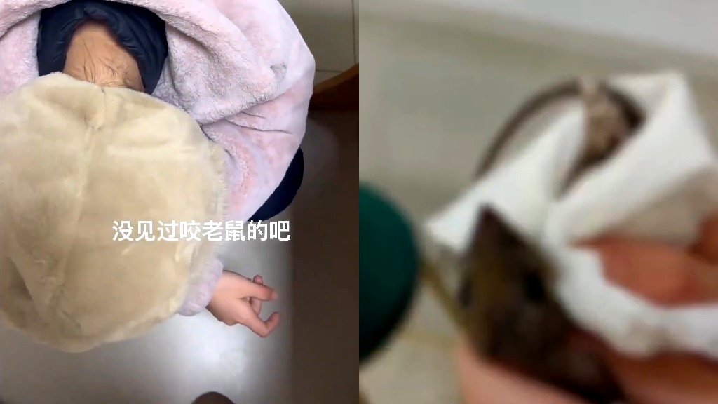 Chinese student bites mouse in the head after it bit her hand