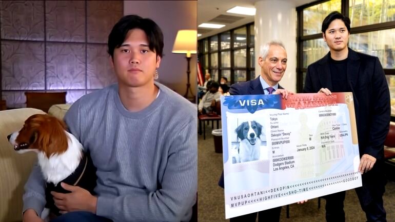 Shohei Ohtani’s dog gets massive fake visa from US Embassy in Japan