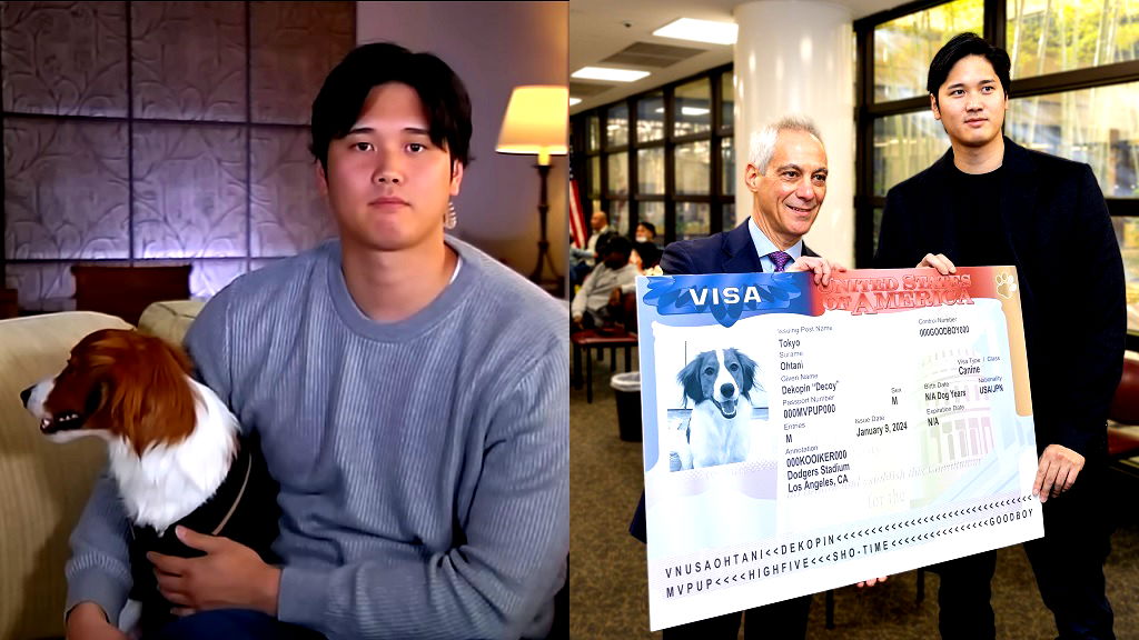 Shohei Ohtani's dog gets massive fake visa from US Embassy in Japan