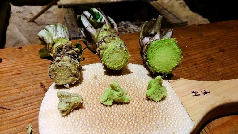 Wasabi: The spicy secret to saving ancient Egyptian papyrus