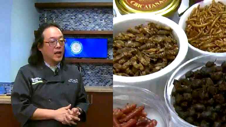 Chef serves up cricket tteokbokki, other bug dishes to San Diego State students