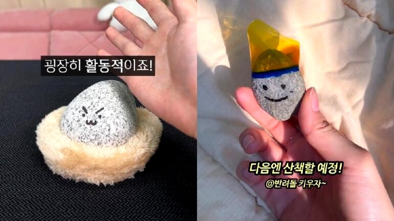 South Koreans turn to pet rocks to deal with loneliness, burnout
