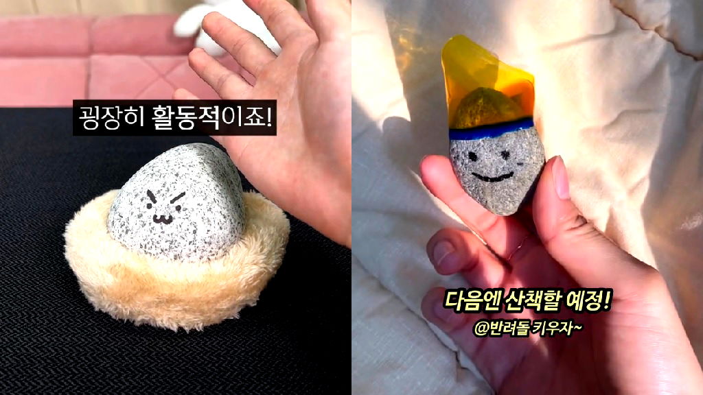 South Koreans turn to pet rocks to deal with loneliness, burnout