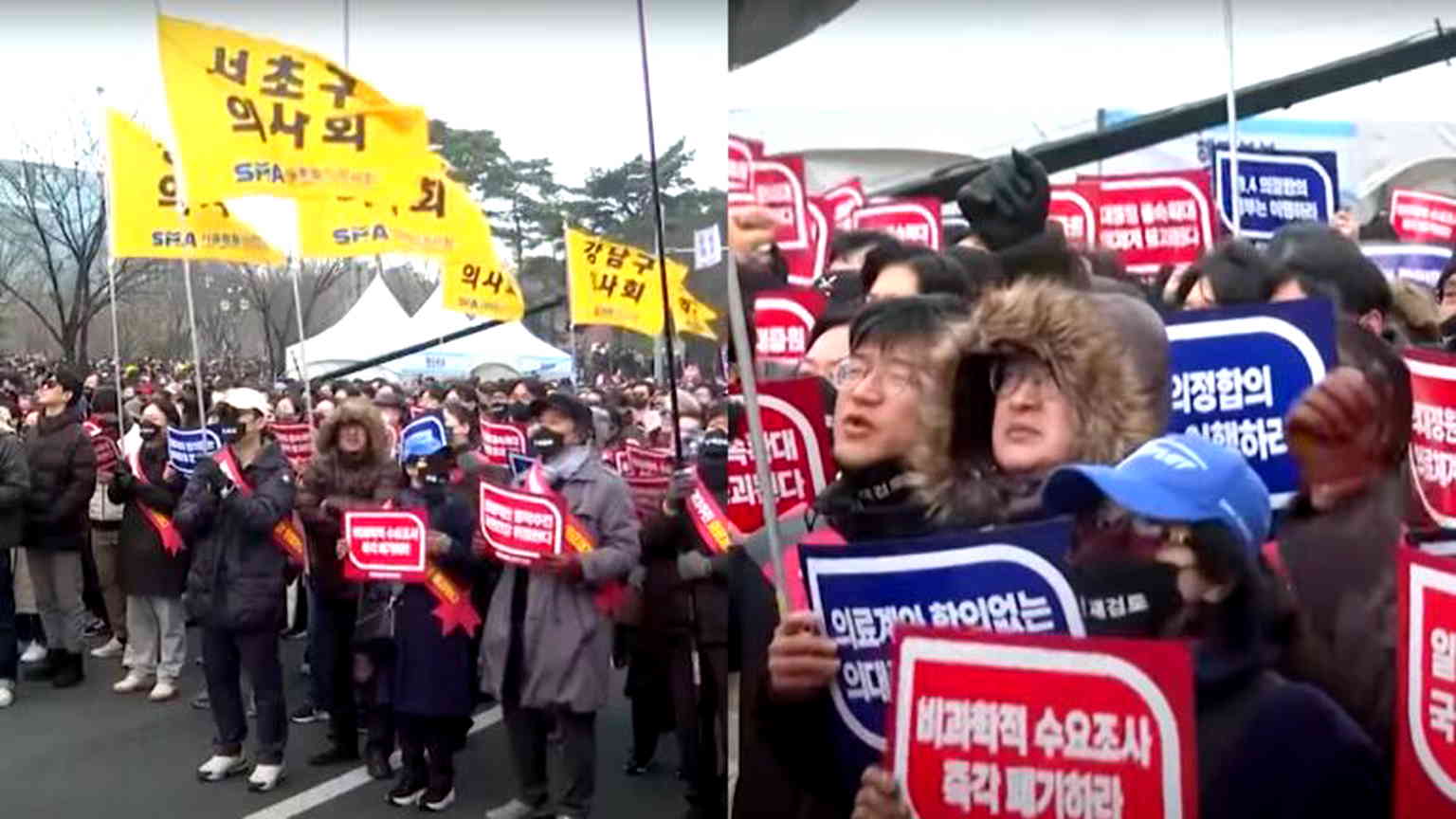 Why around 9,000 doctors in South Korea have walked off their jobs in protest