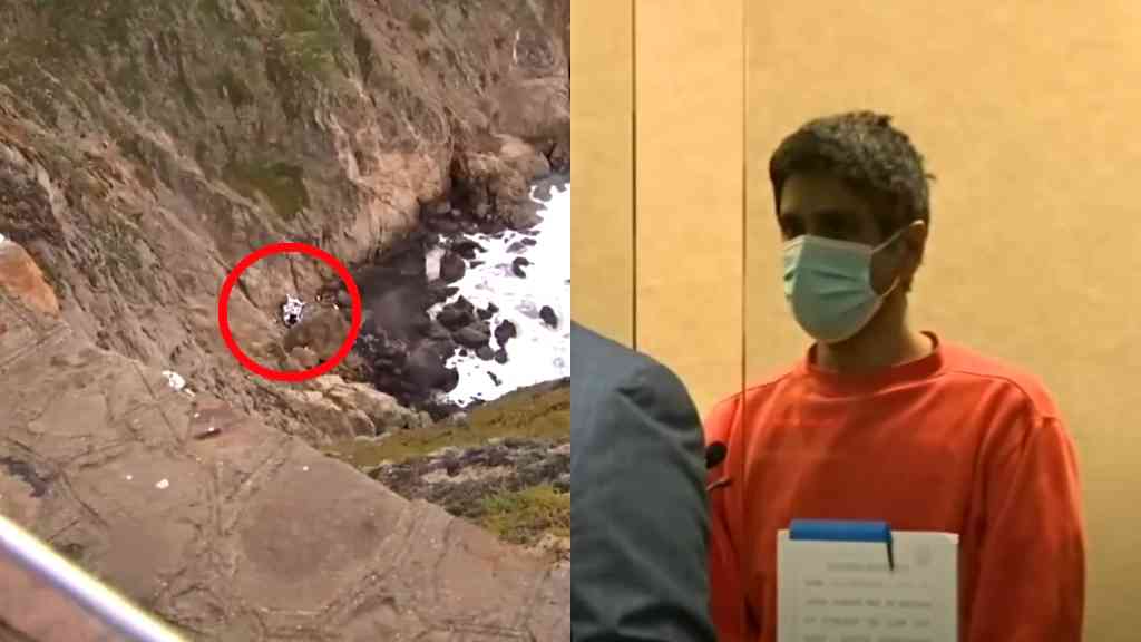 California doctor who drove family off cliff had psychotic break, therapist says