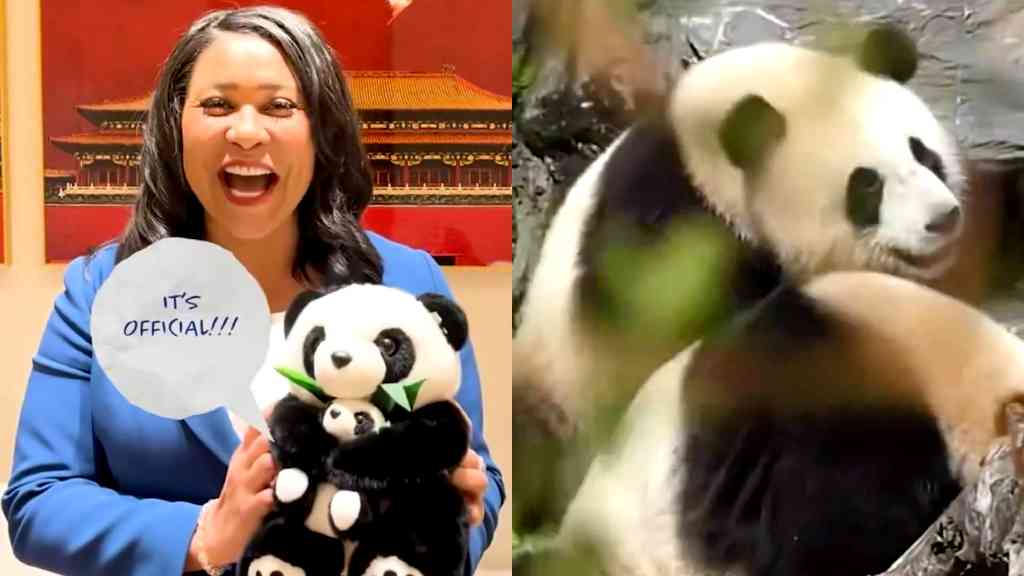 San Francisco Zoo to receive pair of pandas from China