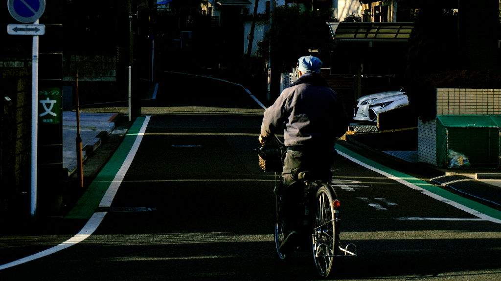 1 in 5 Japanese seniors will have dementia by 2060: government study