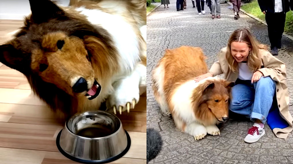 Japanese man who spent $16K to become a ‘dog’ now wants to transform into another animal