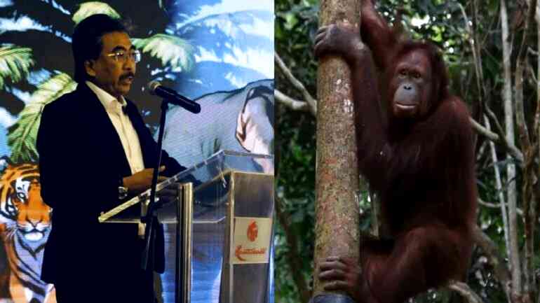 Malaysia’s ‘Orangutan Diplomacy’ draws backlash for alleged hypocrisy