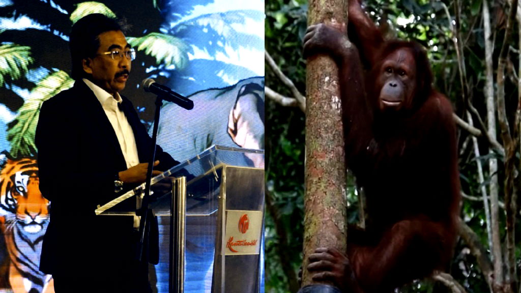 Malaysia’s ‘Orangutan Diplomacy’ draws backlash for alleged hypocrisy