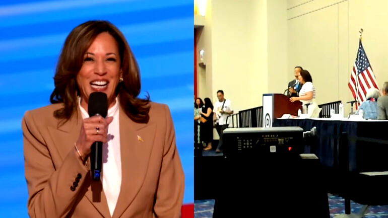 AAPI Democratic leaders stress importance of Asian voters for Harris