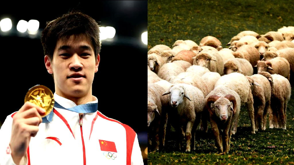 Tending sheep awaits double Olympic champ in rural China