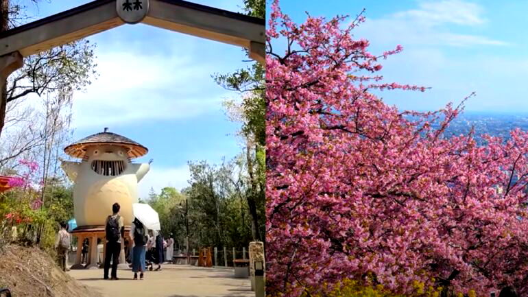 Travelers crown Japan best country in the world for 2nd straight year