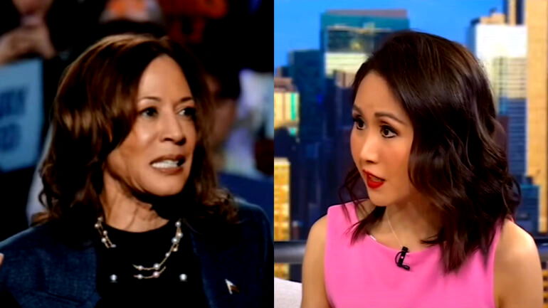 DNC official goes on Fox to slam Harris’ loss as ‘$1 billion disaster’