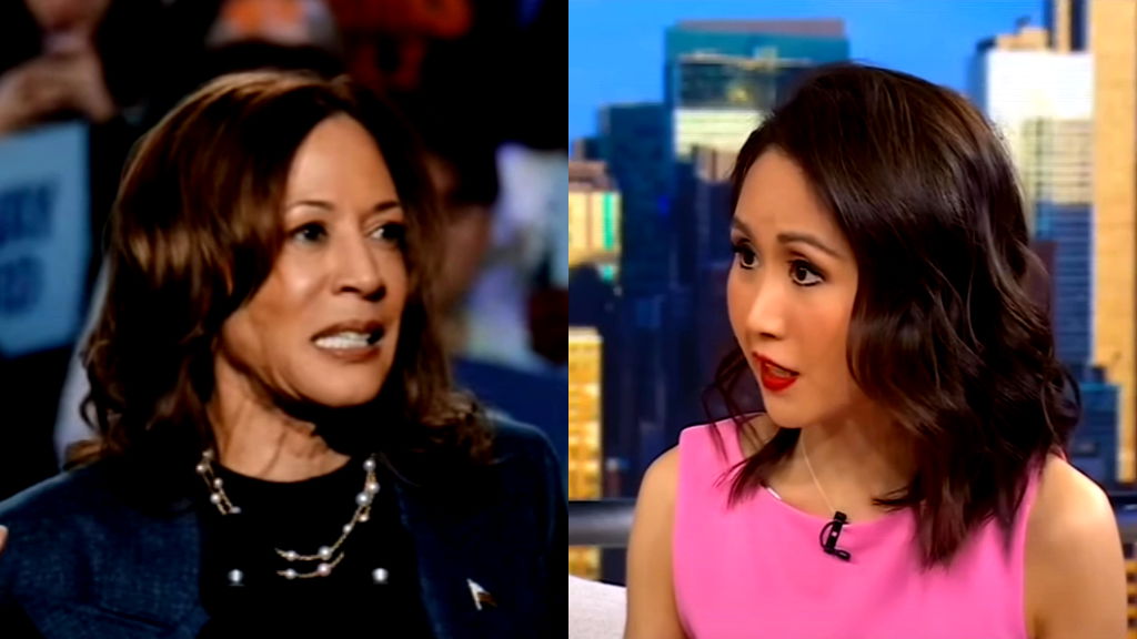 DNC official goes on Fox to slam Harris’ loss as '$1 billion disaster'