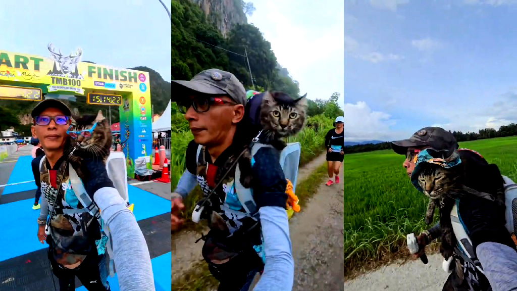 Watch: Malaysian man runs 10-kilometer marathon with 16-pound cat on his shoulders