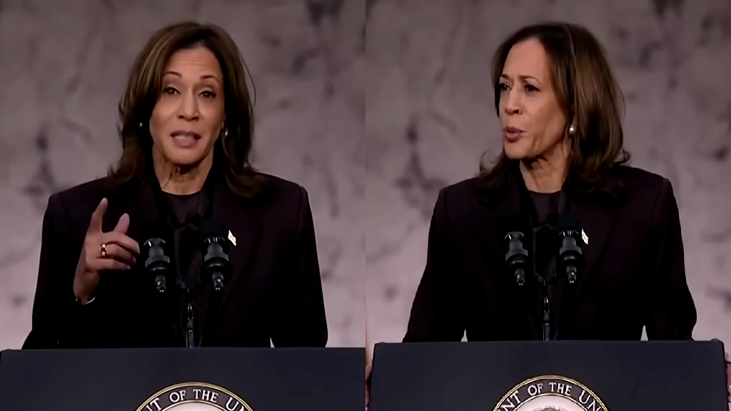 Kamala Harris: ‘I concede this election, I do not concede the fight’