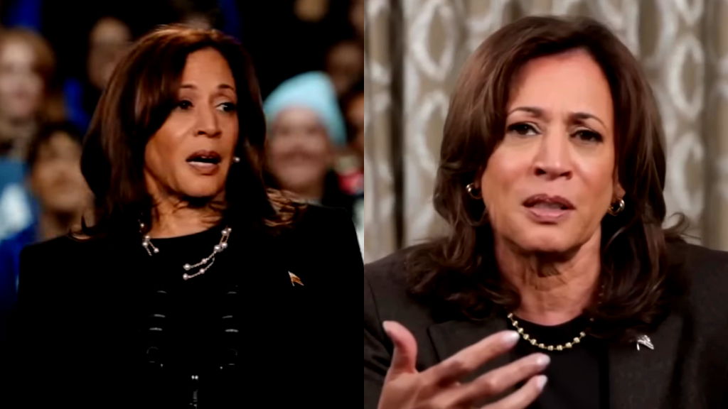 Kamala Harris 2028 presidential run sees sagging support: poll