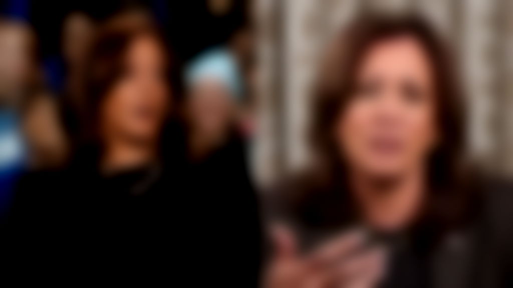 Kamala Harris 2028 presidential run sees sagging support: poll