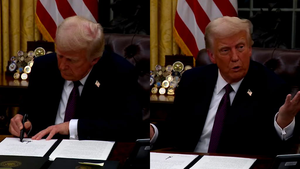 Trump admin unveils plan to end birthright citizenship
