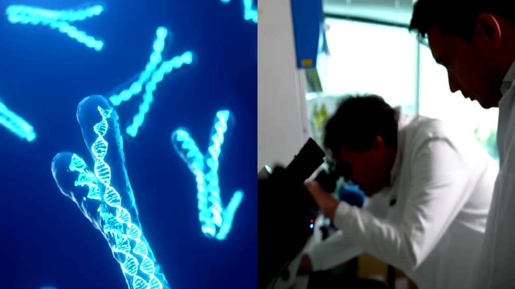 Scientists launch controversial project to create the world’s first artificial human DNA