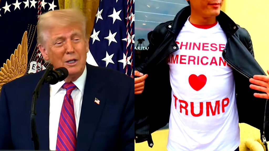 Democrats’ historic unfavourability reflects setbacks with Asian American voters