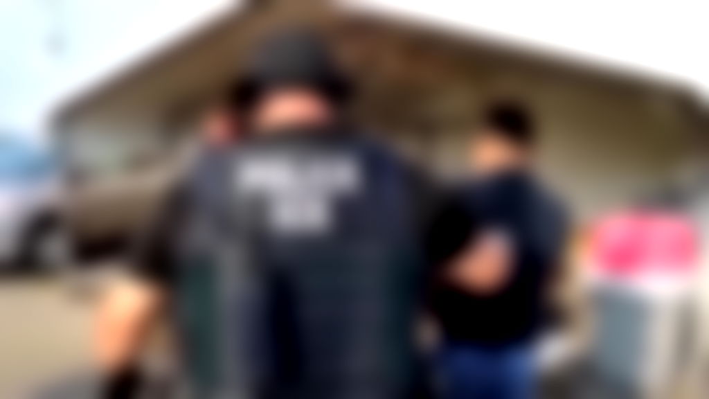 Second Vietnamese man dies in ICE custody this year