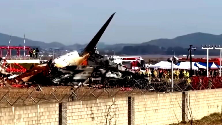Pilots shut off wrong engine in South Korea crash that killed 179, report finds