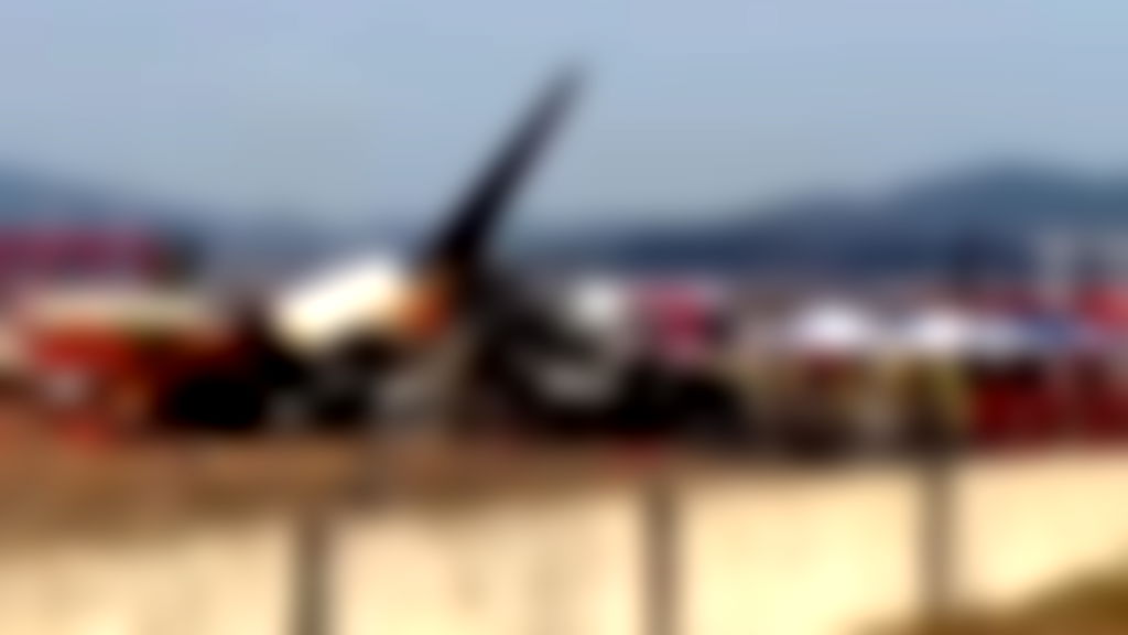 Pilots shut off wrong engine in South Korea crash that killed 179, report finds