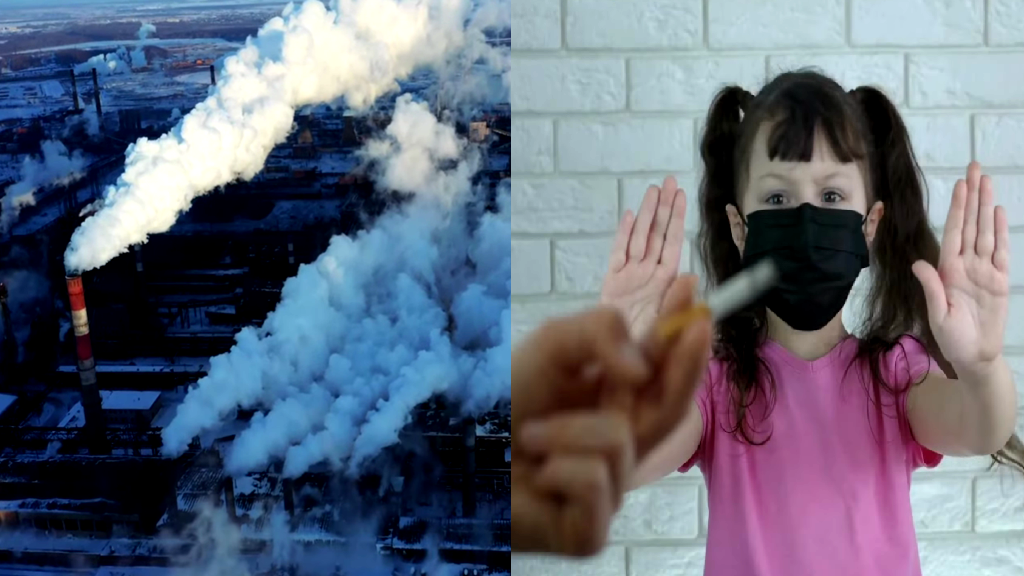 Air pollution a major factor in lung cancer among never-smokers: study
