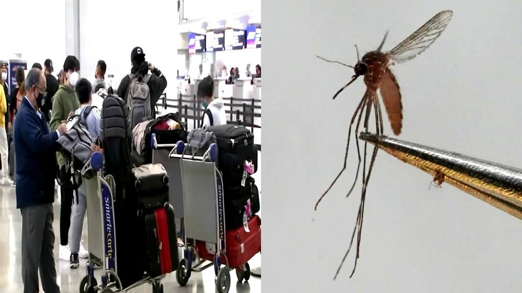 CDC issues travel alert as chikungunya outbreak surges in China