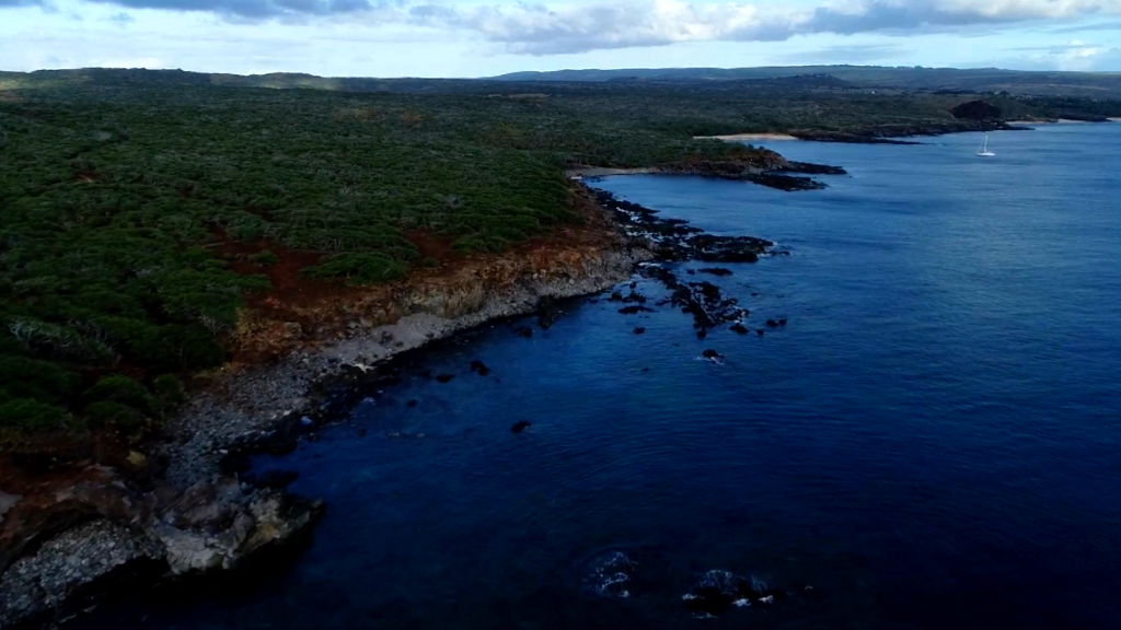 Native Hawaiian group aims to buy back ancestral land