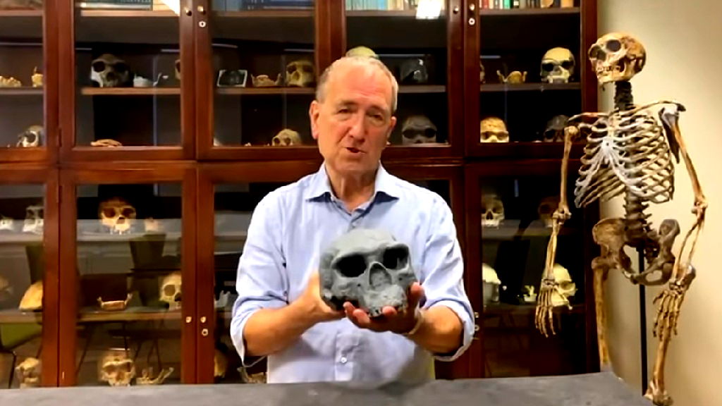 China’s million-year-old skull may rewrite where and when humans began