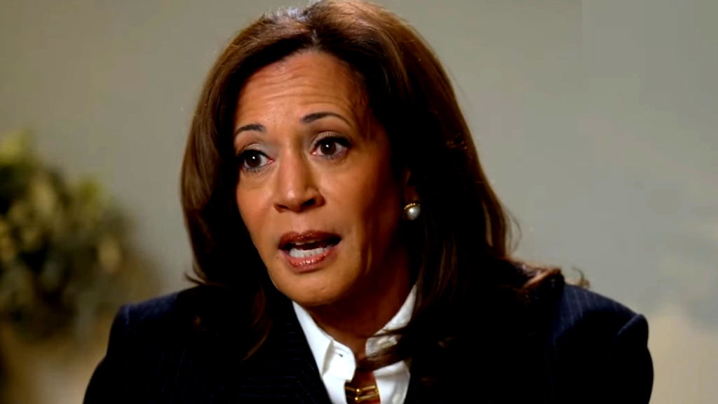 Kamala Harris signals 2028 presidential run: 'I am not done'